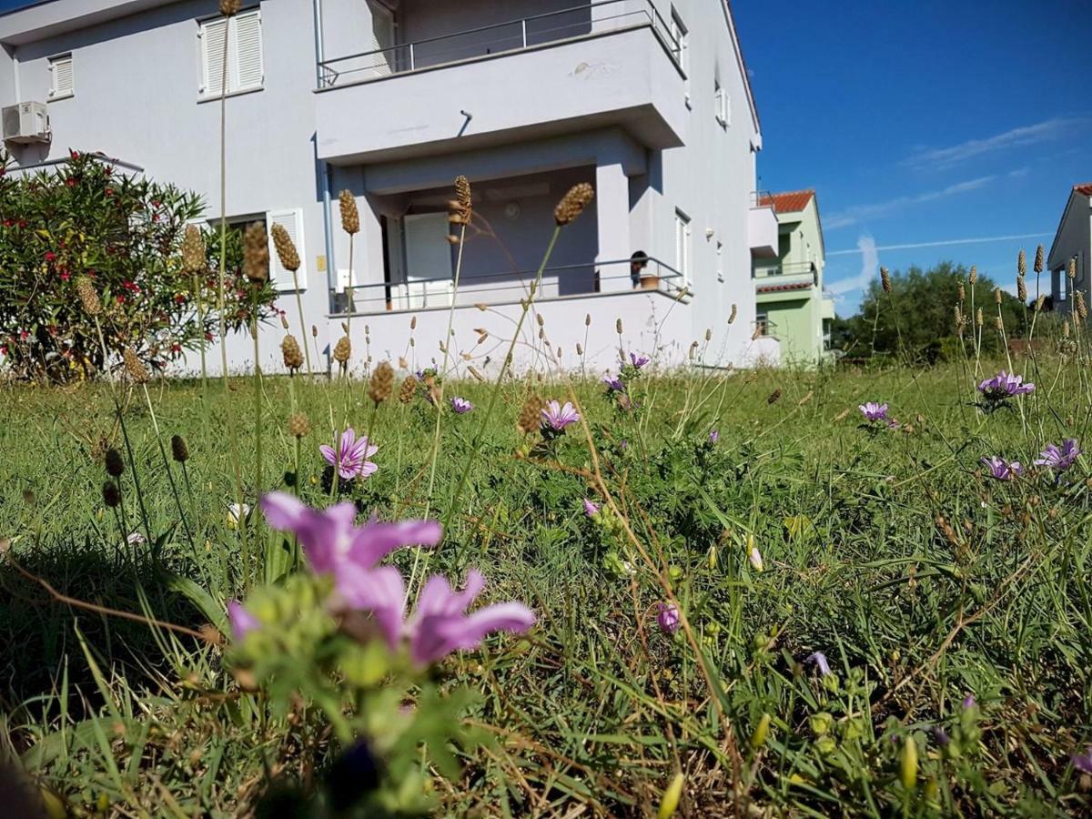 Apartment Vitalia 2+2 Poreč Buitenkant foto