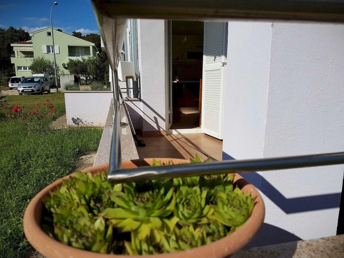 Apartment Vitalia 2+2 Poreč Buitenkant foto